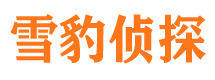 崇礼寻人公司